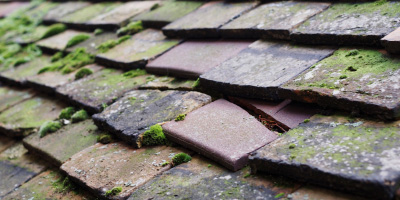 Castell Y Rhingyll roof repair costs